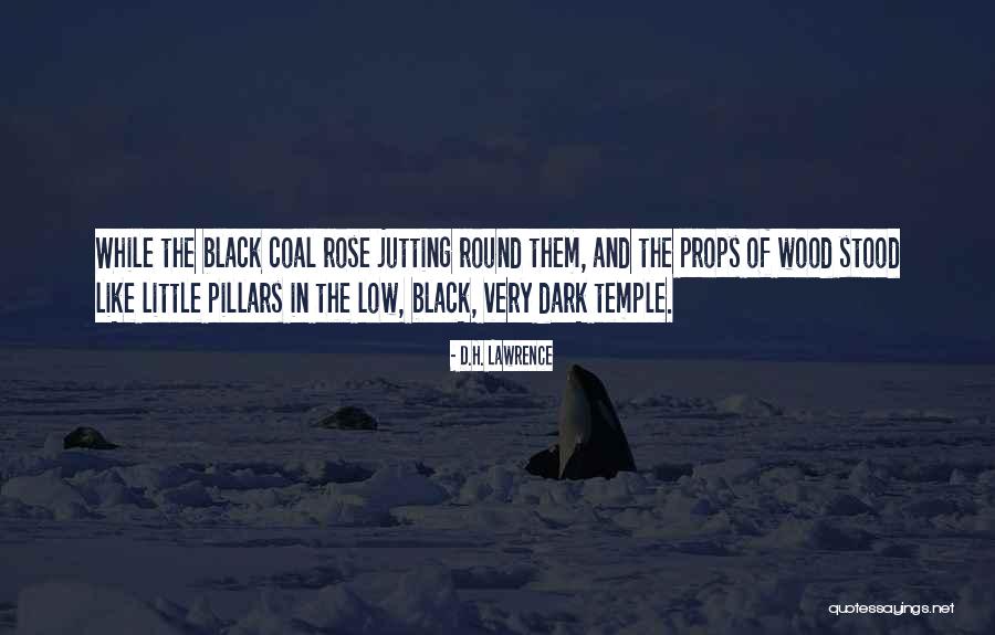 Dark Rose Quotes By D.H. Lawrence Dark Rose Quotes By D.H. Lawrence