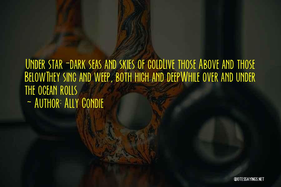 Dark Seas Quotes By Ally Condie