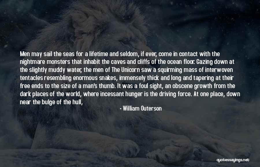 Dark Seas Quotes By William Outerson