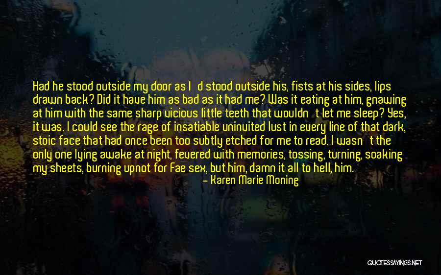 Dark Series Quotes By Karen Marie Moning Dark Series Quotes By Karen Marie Moning