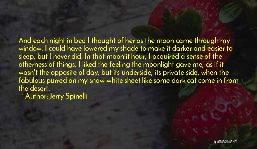 Dark Shade Quotes By Jerry Spinelli