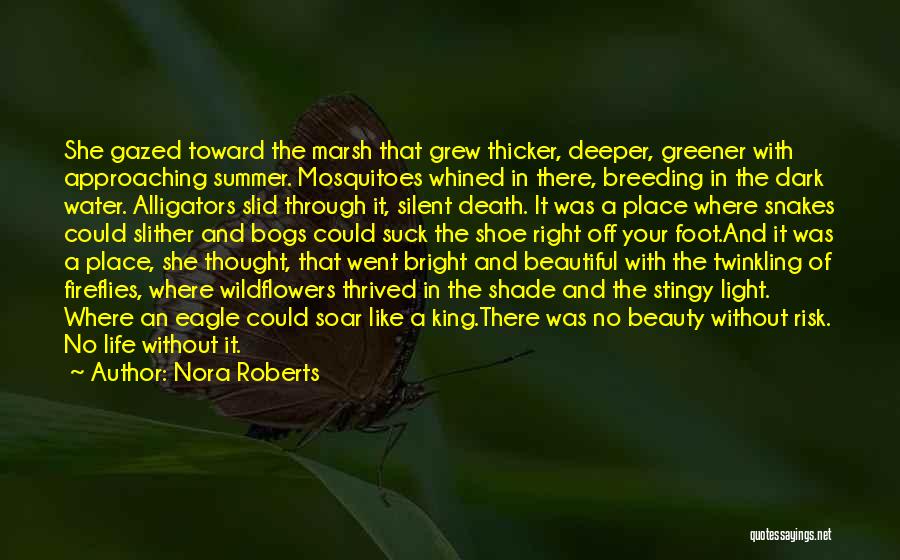 Dark Shade Quotes By Nora Roberts