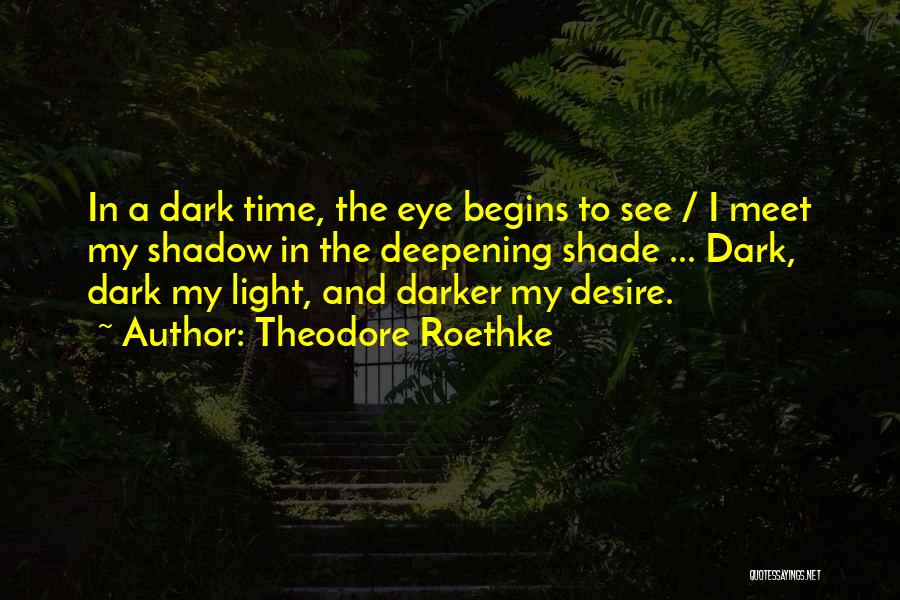 Dark Shade Quotes By Theodore Roethke