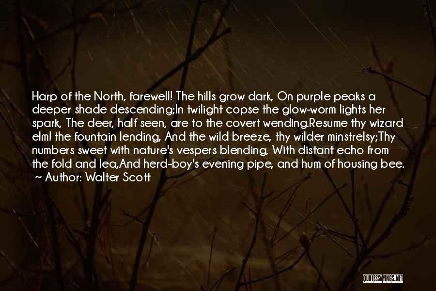 Dark Shade Quotes By Walter Scott