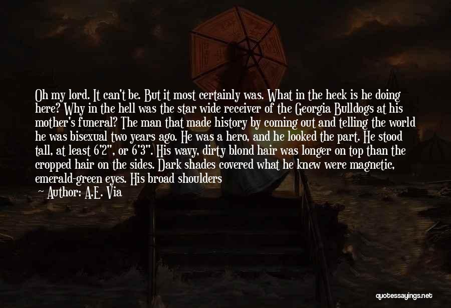 Dark Shades Quotes By A.E. Via