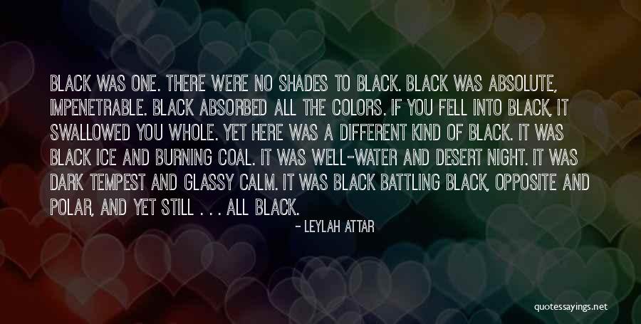 Dark Shades Quotes By Leylah Attar