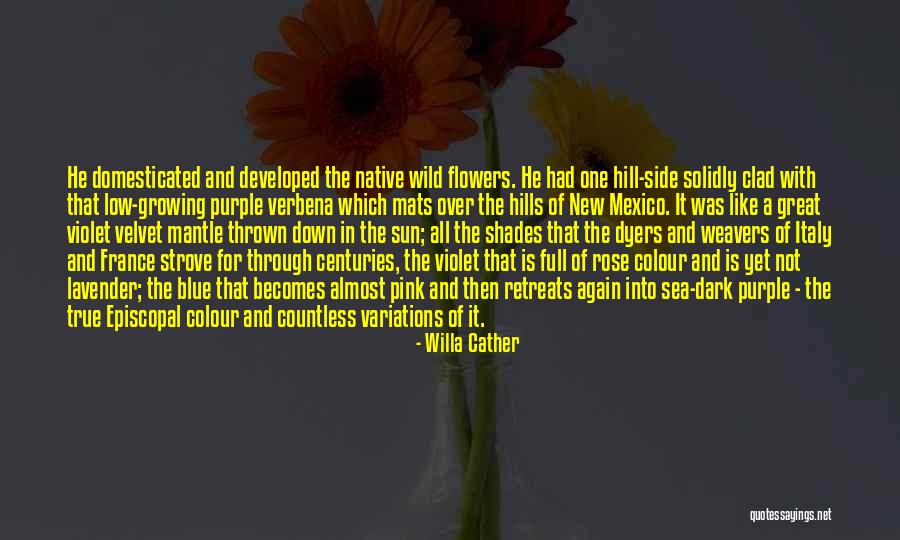 Dark Shades Quotes By Willa Cather