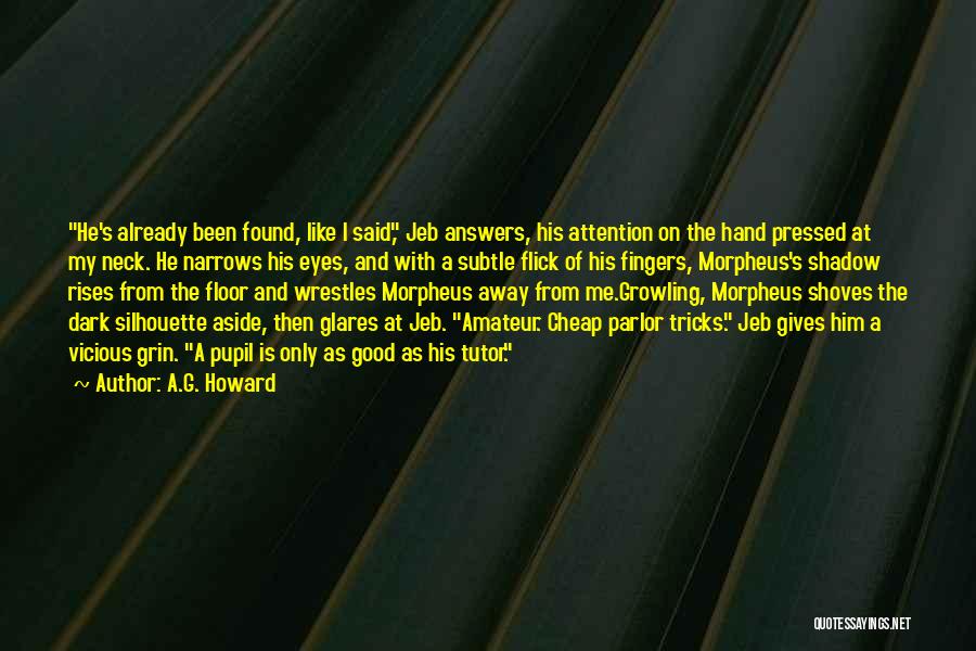 Dark Shadow Quotes By A.G. Howard