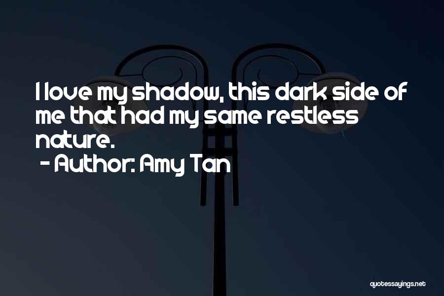 Dark Shadow Quotes By Amy Tan