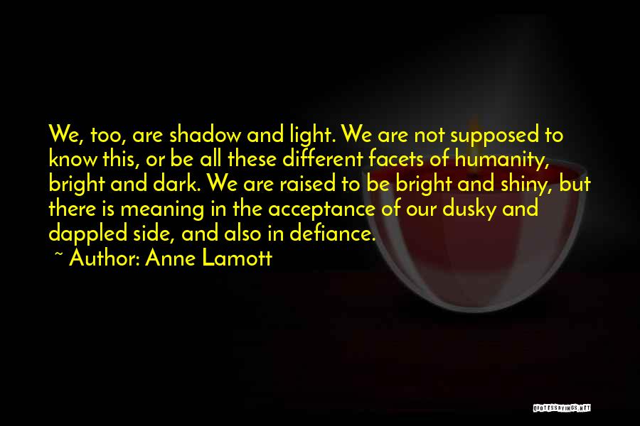 Dark Shadow Quotes By Anne Lamott