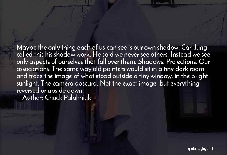 Dark Shadow Quotes By Chuck Palahniuk