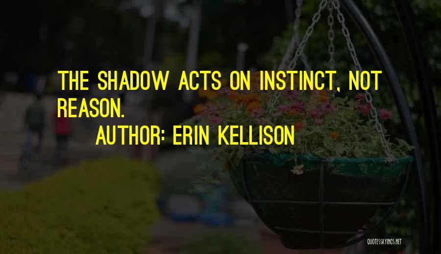 Dark Shadow Quotes By Erin Kellison