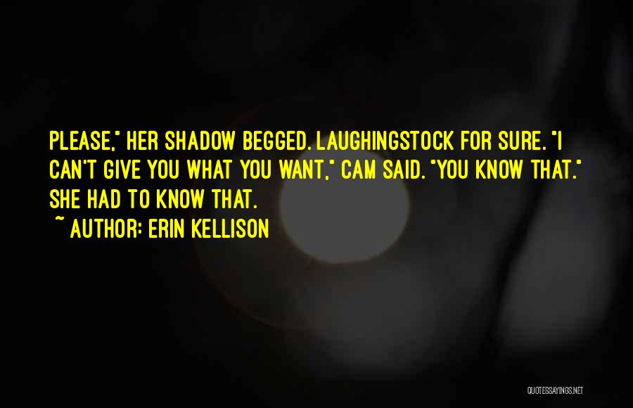 Dark Shadow Quotes By Erin Kellison