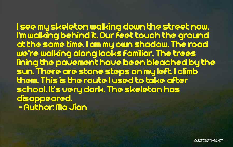 Dark Shadow Quotes By Ma Jian