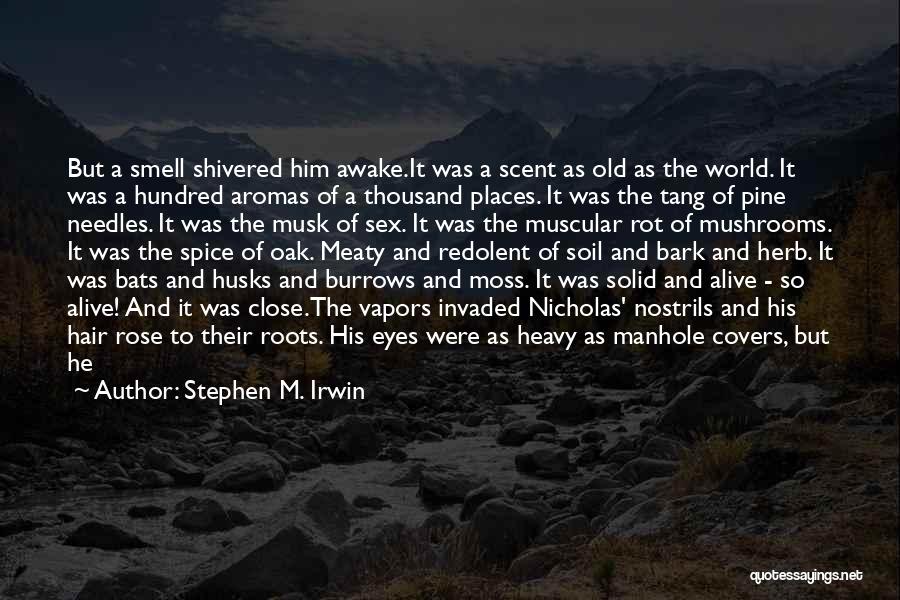 Dark Shadow Quotes By Stephen M. Irwin