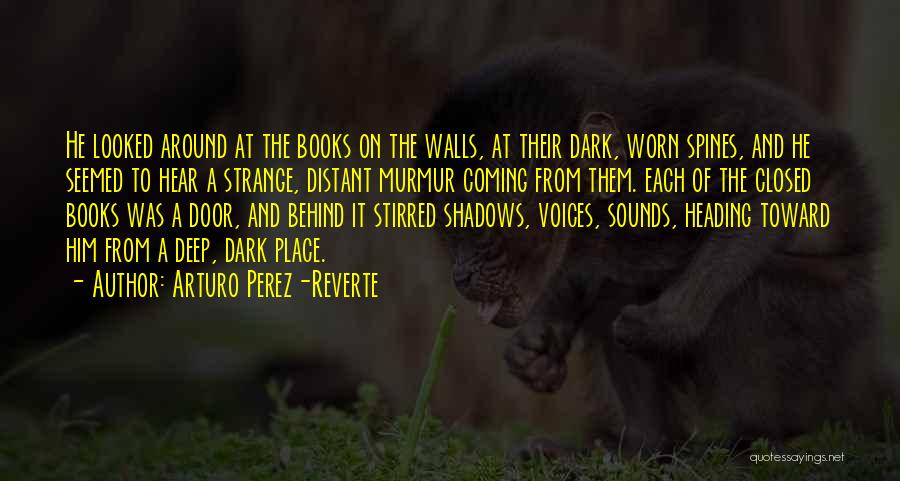 Dark Shadows Quotes By Arturo Perez-Reverte