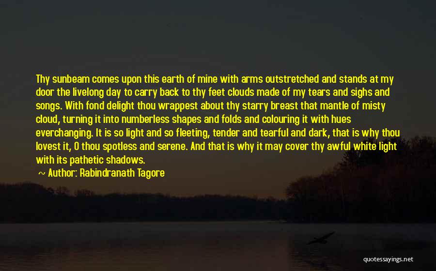 Dark Shadows Quotes By Rabindranath Tagore