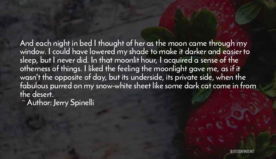 Dark Side Moon Quotes By Jerry Spinelli