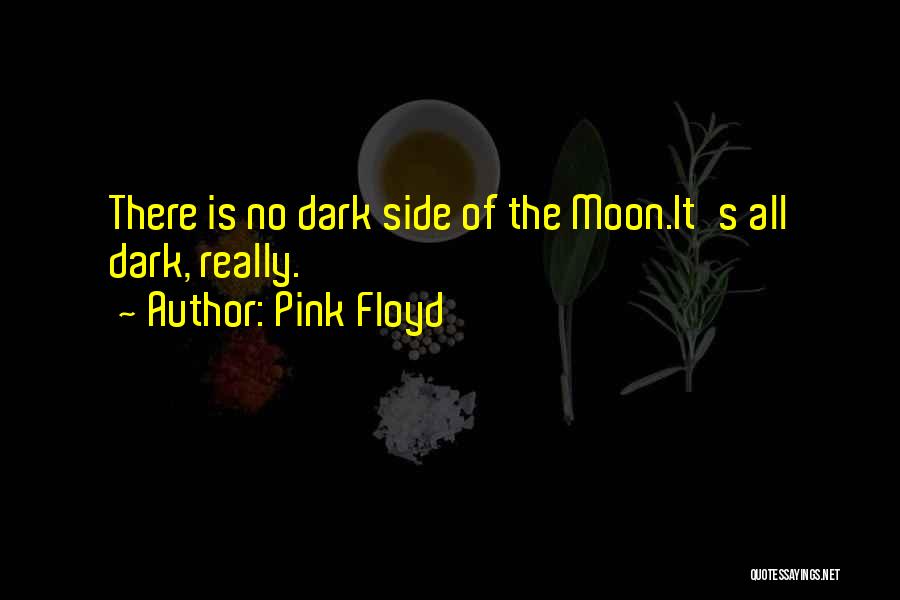 Dark Side Moon Quotes By Pink Floyd