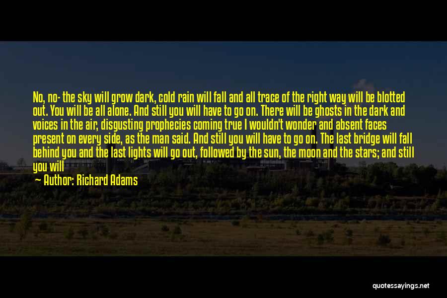 Dark Side Moon Quotes By Richard Adams