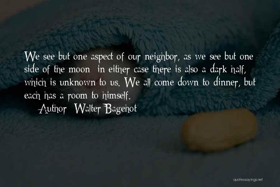 Dark Side Moon Quotes By Walter Bagehot