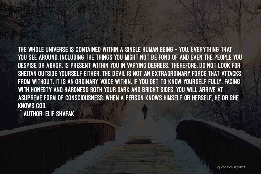 Dark Sides Quotes By Elif Shafak