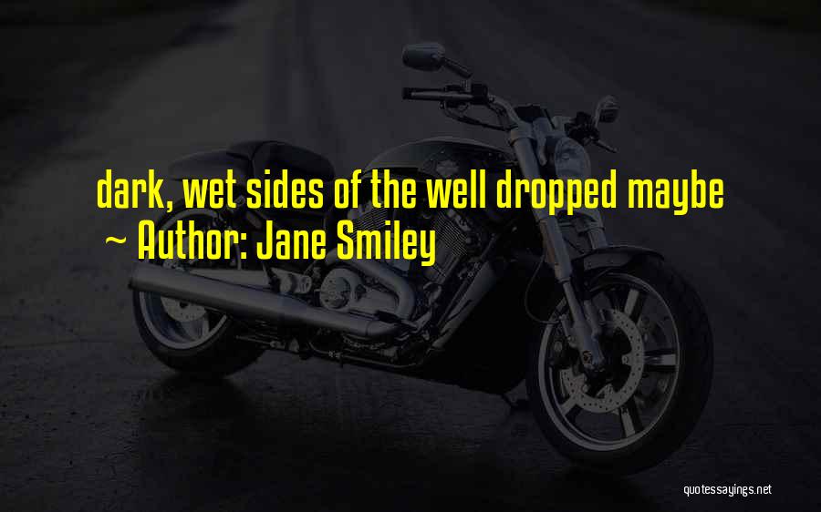 Dark Sides Quotes By Jane Smiley