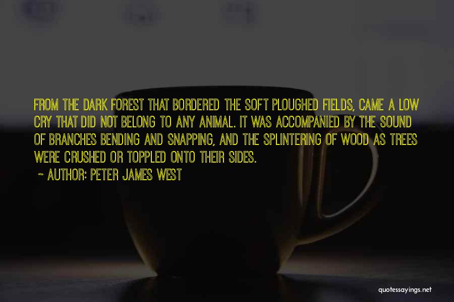 Dark Sides Quotes By Peter James West