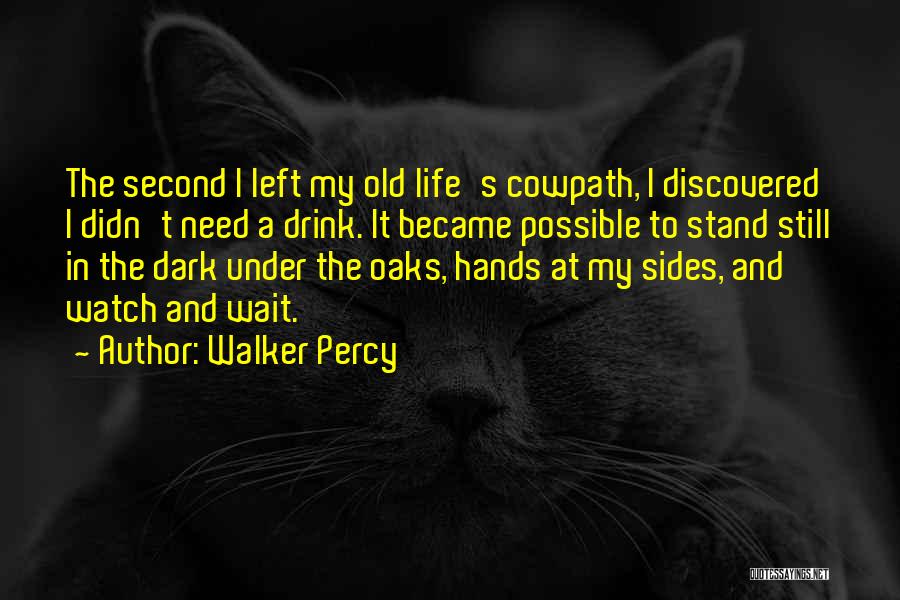 Dark Sides Quotes By Walker Percy