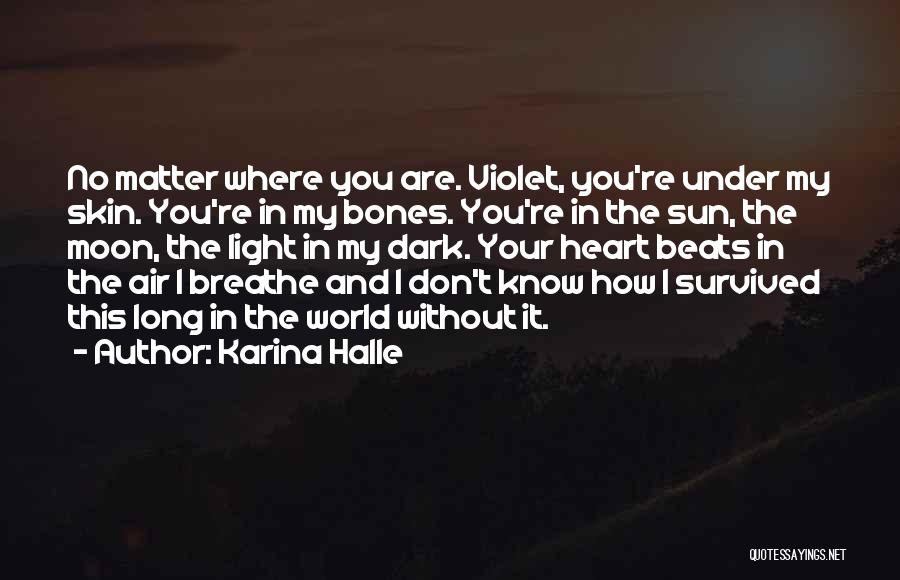 Dark Skin Light Skin Quotes By Karina Halle
