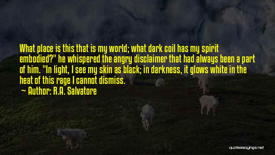 Dark Skin Light Skin Quotes By R.A. Salvatore