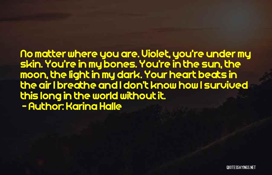 Dark Skin Quotes By Karina Halle