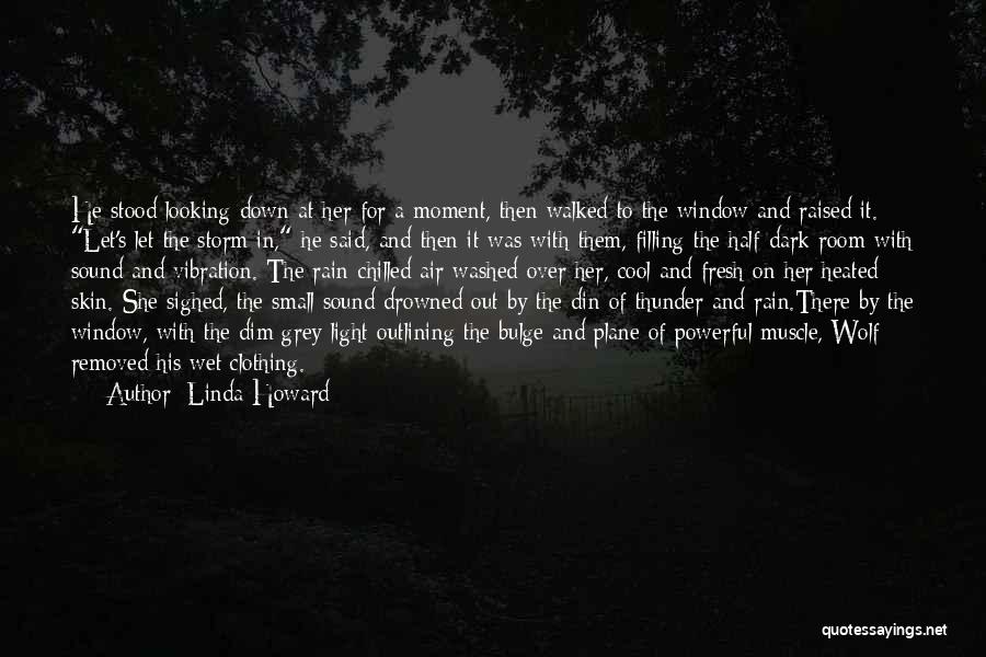 Dark Skin Quotes By Linda Howard