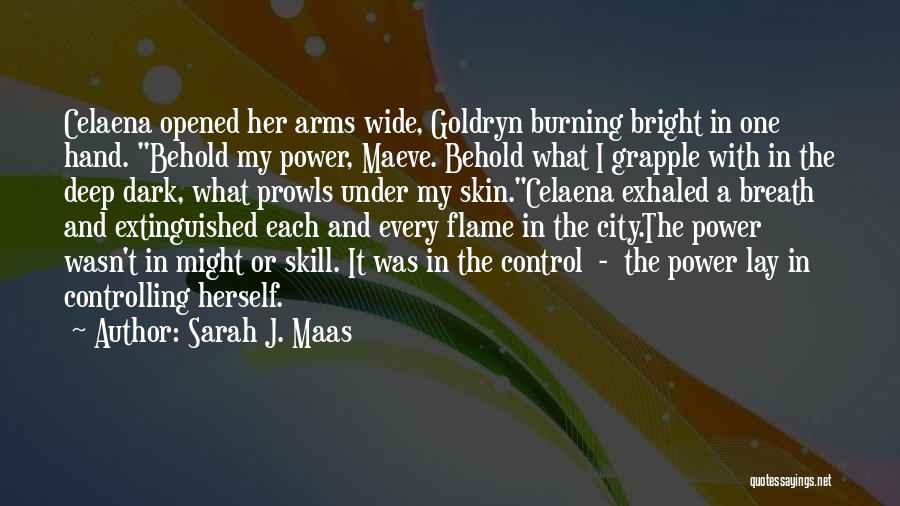 Dark Skin Quotes By Sarah J. Maas