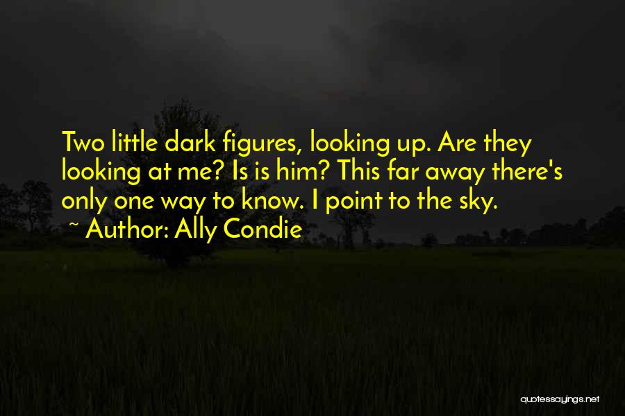 Dark Sky Quotes By Ally Condie