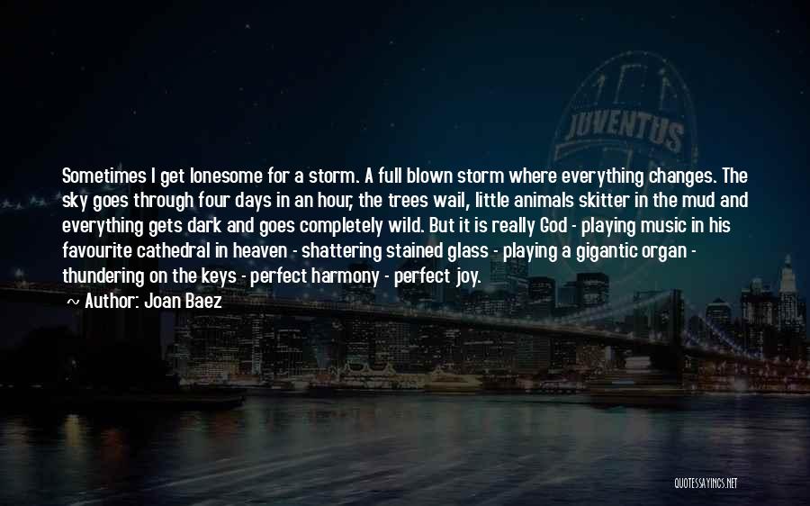 Dark Sky Quotes By Joan Baez