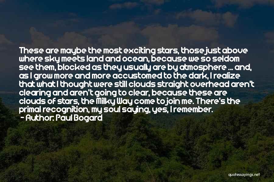 Dark Sky Quotes By Paul Bogard