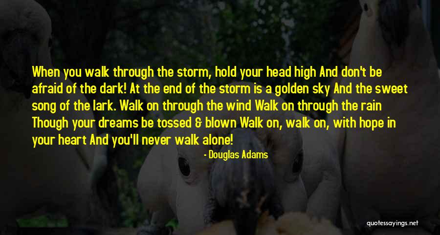 Dark Song Quotes By Douglas Adams Dark Song Quotes By Douglas Adams
