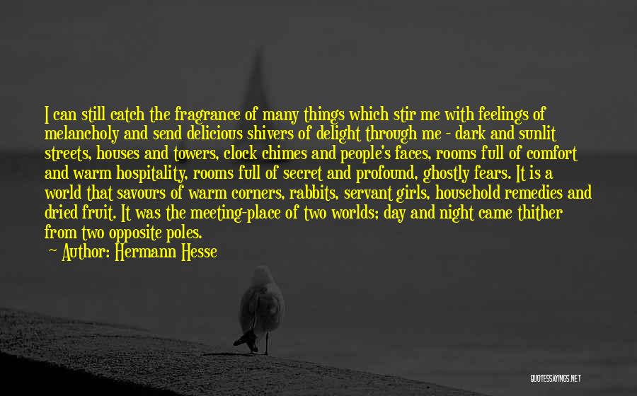 Dark Streets Quotes By Hermann Hesse