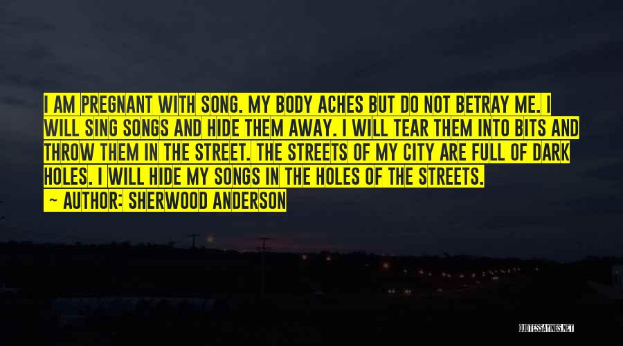 Dark Streets Quotes By Sherwood Anderson
