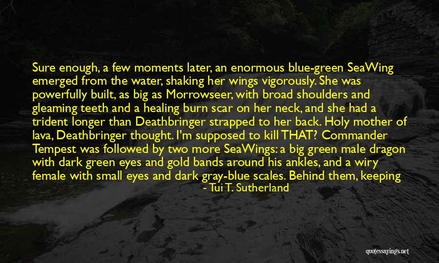 Dark Tempest Quotes By Tui T. Sutherland Dark Tempest Quotes By Tui T. Sutherland