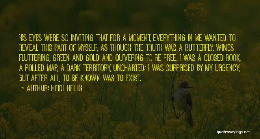 Dark Territory Quotes By Heidi Heilig