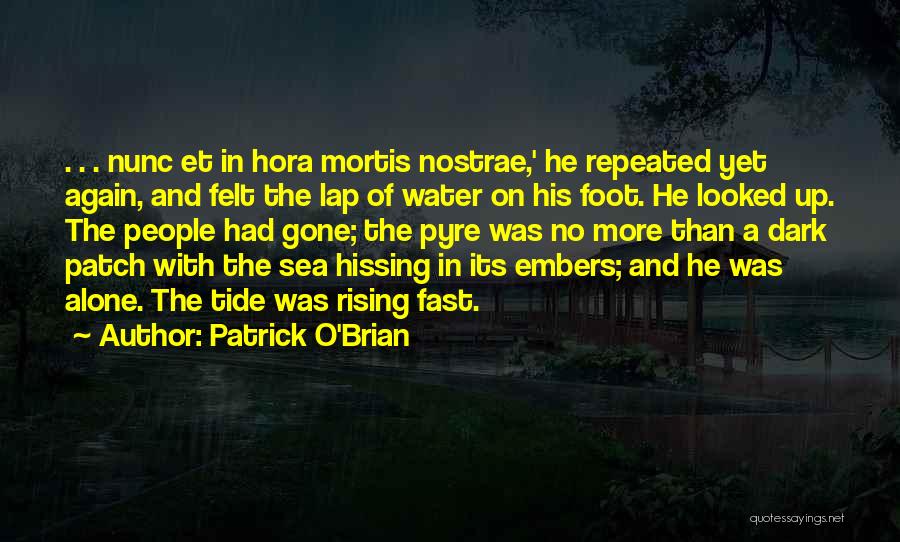 Dark Tide Quotes By Patrick O'Brian