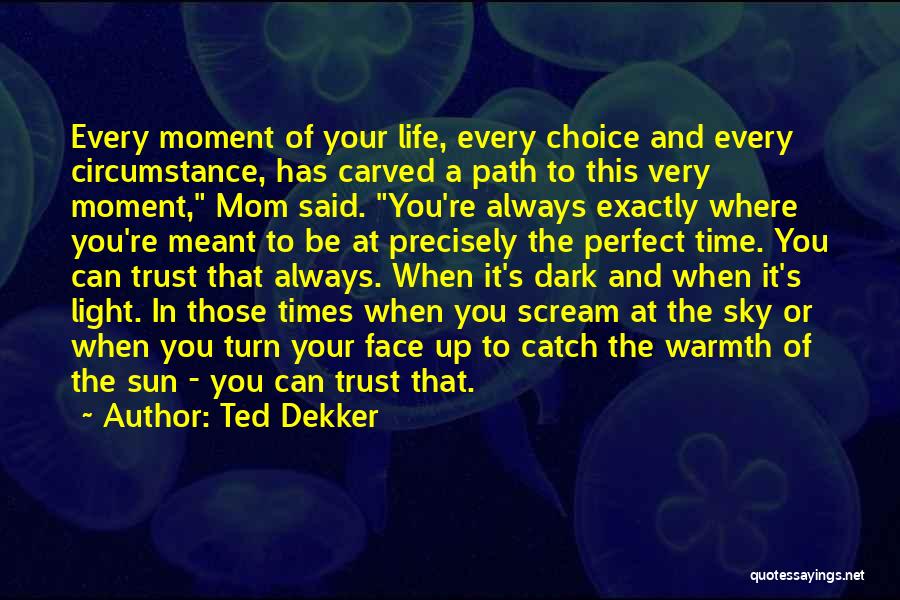 Dark Times In Life Quotes By Ted Dekker