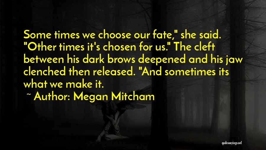 Dark Times Quotes By Megan Mitcham