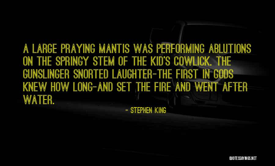 Dark Tower Gunslinger Quotes By Stephen King