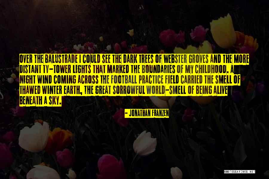 Dark Tower Quotes By Jonathan Franzen Dark Tower Quotes By Jonathan Franzen