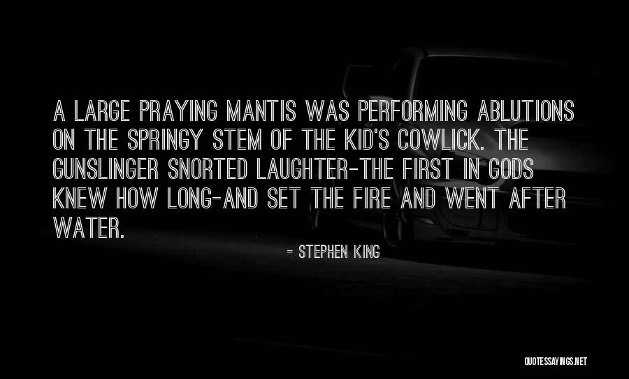 Dark Tower Quotes By Stephen King