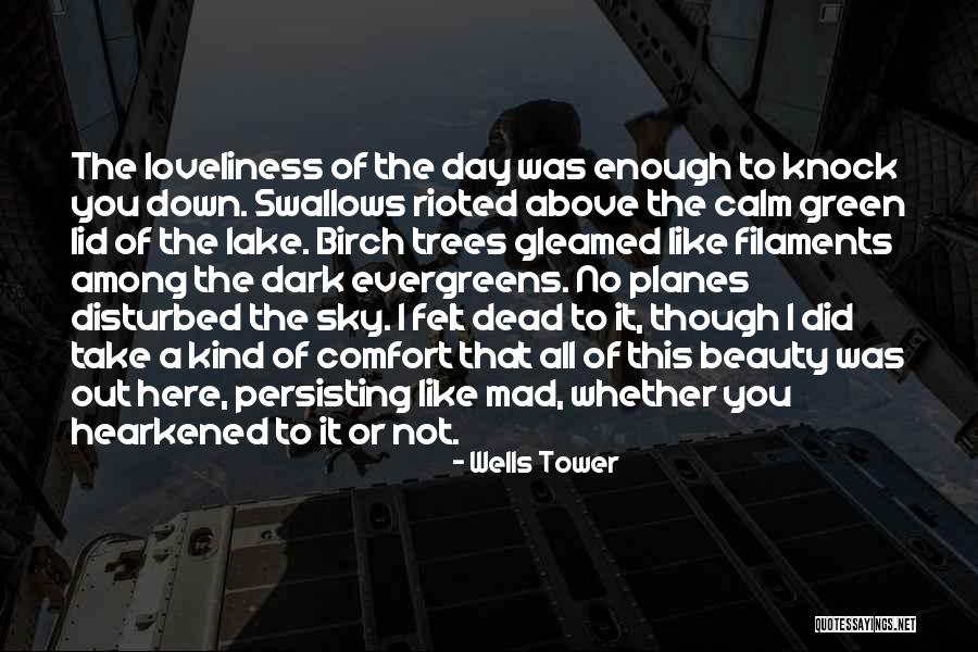 Dark Tower Quotes By Wells Tower Dark Tower Quotes By Wells Tower