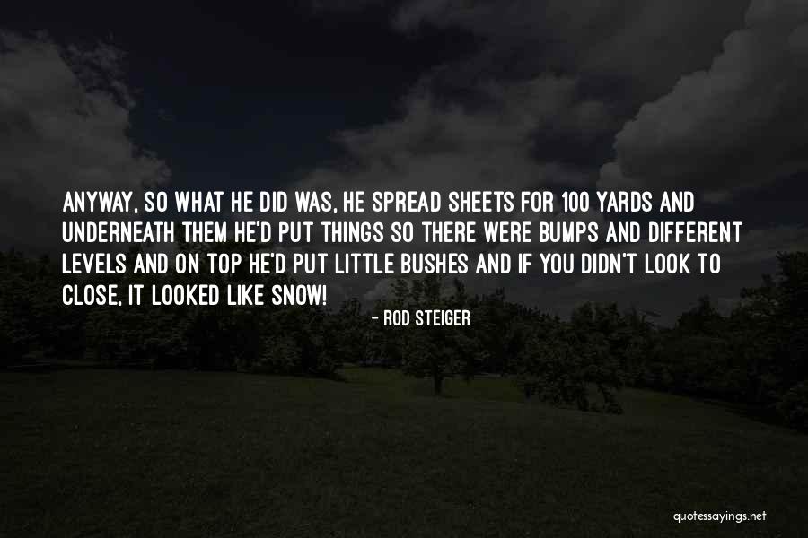Dark Tower Wizard And Glass Quotes By Rod Steiger Dark Tower Wizard And Glass Quotes By Rod Steiger